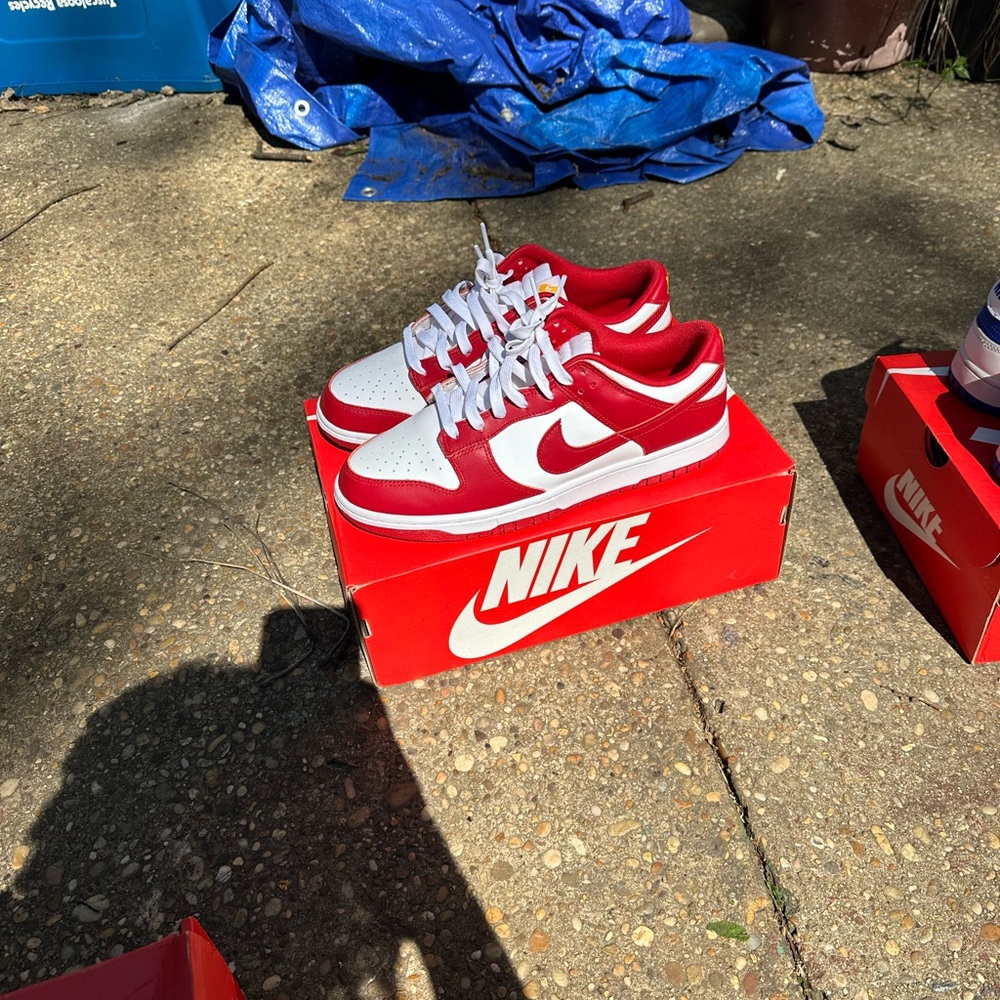 Nike dunks